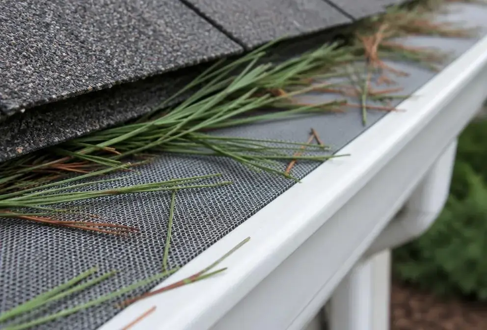Pine needles resting on top of a mesh gutter guard